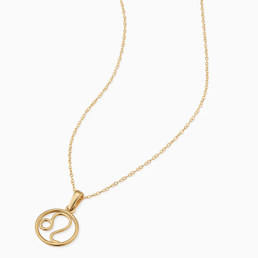 Sterrenbeeld ketting